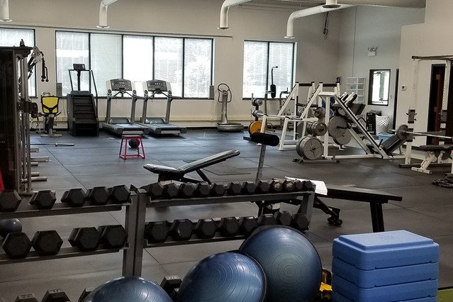 Image 2 from V.I.P. Health & Fitness Clinic partner gallery