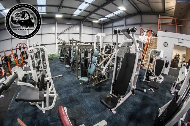 Image 2 from Horspower Strength and Conditioning partner gallery