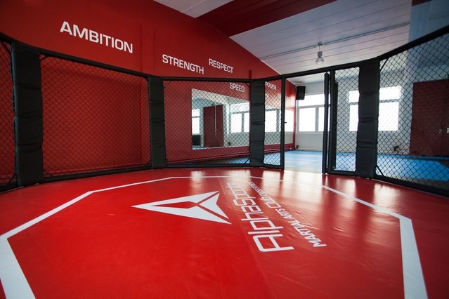 Bild 1 von Alpha Sports Club Bielefeld Partnergalerie