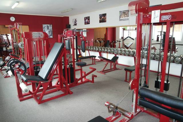 Bild 2 von Fightacademy Song Partnergalerie