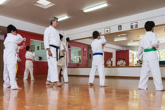 Imagen 1 de la galería del partner Goju Kan Inglaterra