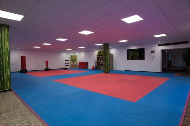 Bild 3 von House of Taekwondo Partnergalerie