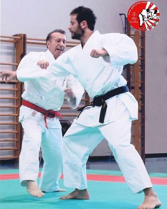 Immagine 1 dalla galleria del partner G.A.DIURNO Ju Jitsu San Pietro In Cariano