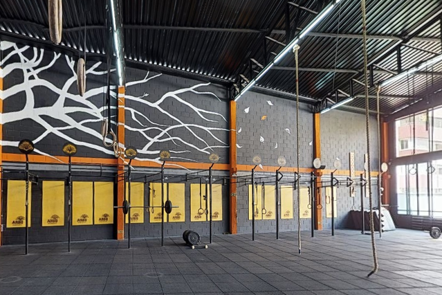 Imagem 1 da galeria do parceiro Arbo CrossFit