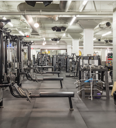 Image 3 from Gold's Gym - Hollywood partner gallery