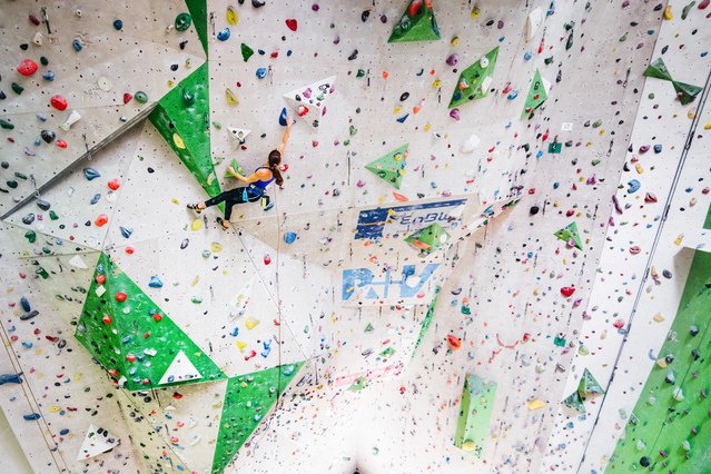 Bild 3 von Die Kletterarena Partnergalerie