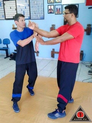 Imagem 3 da galeria do parceiro Associação Dragões Do Sul Kung Fu