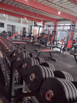 Imagem 3 da galeria do parceiro In Shape Academia