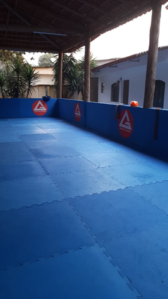 Imagem 3 da galeria do parceiro Gracie Barra Betim