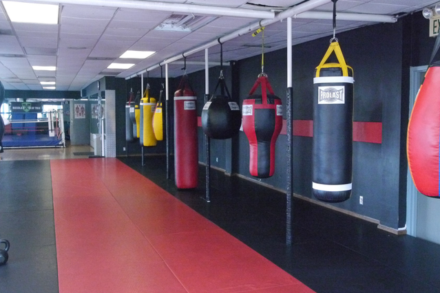 Image 2 from Hollywood Gym partner gallery