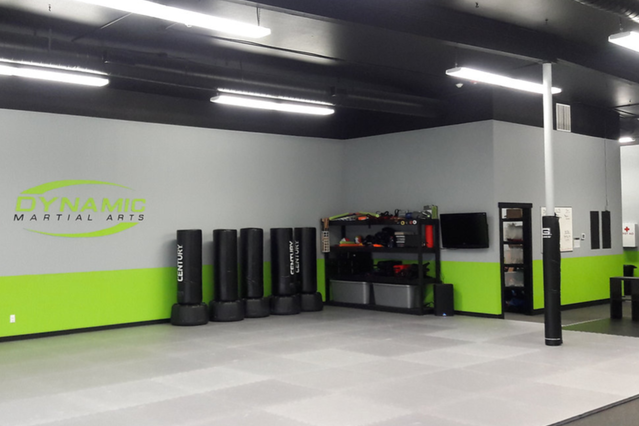 Image 3 from Dynamic Martial Arts partner gallery