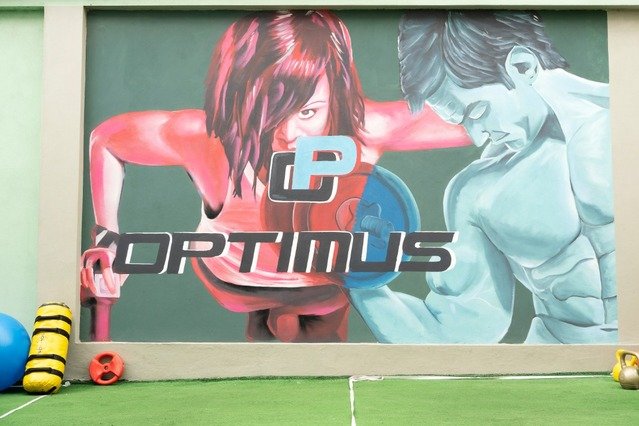 Imagen 3 de la galería del partner Optimus Gym Fitness