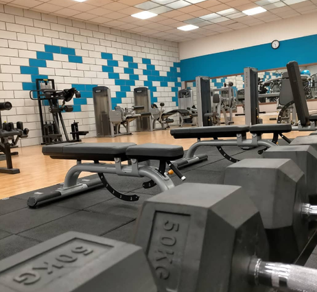 Immagine 1 dalla galleria del partner Power Gym asd