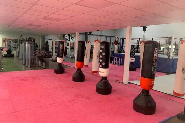 Image 2 from Lincoln Fight Factory partner gallery