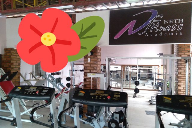 Imagem 1 da galeria do parceiro Academia Neth Fitness