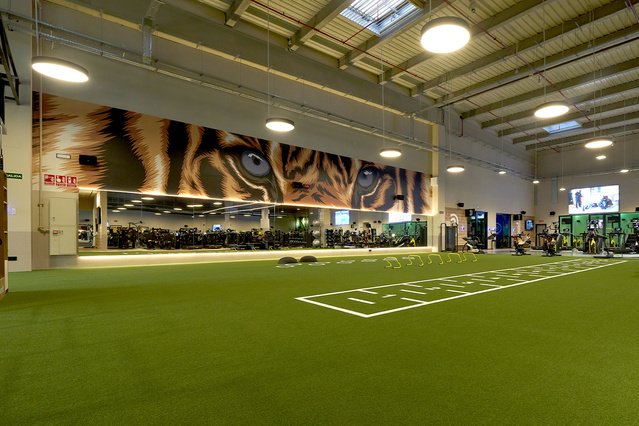 Imagen 1 de la galería del partner Dreamfit Parla