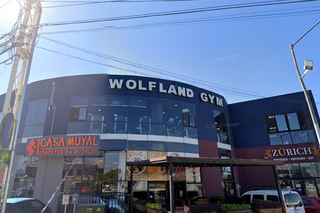 Imagen 2 de la galería del partner Wolf Land Gym