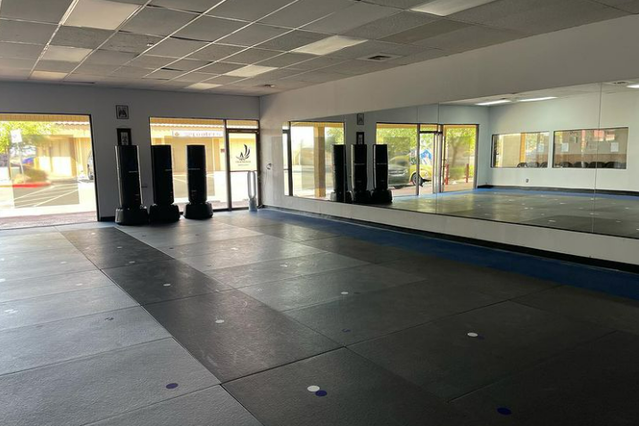 Image 3 from Ageless Martial Arts partner gallery
