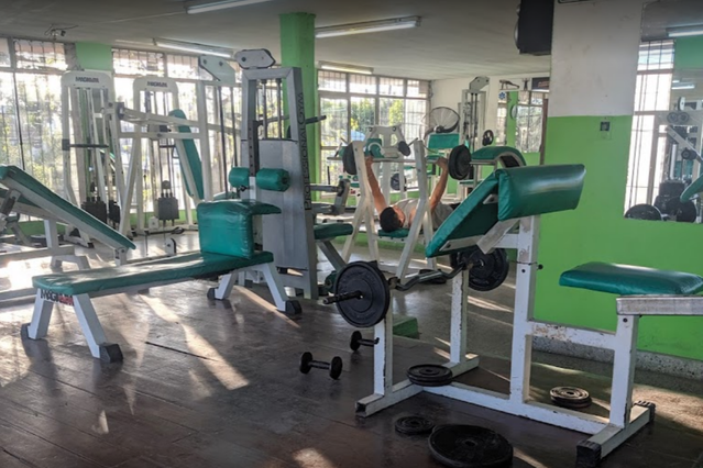 Imagen 3 de la galería del partner Plena Forma