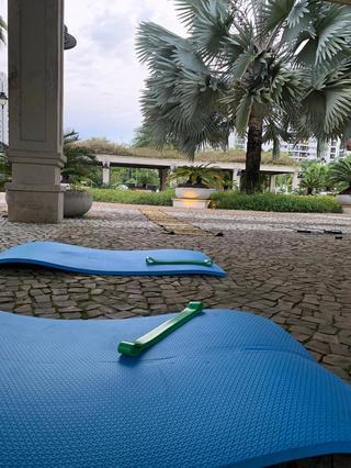 Imagem 3 da galeria do parceiro BL Trainer