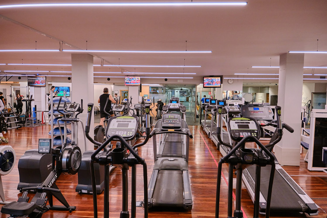 Imagen 1 de la galería del partner Espagat