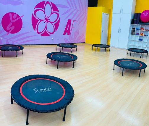 Imagen 1 de la galería del partner Aloha Dance Fit Portillo