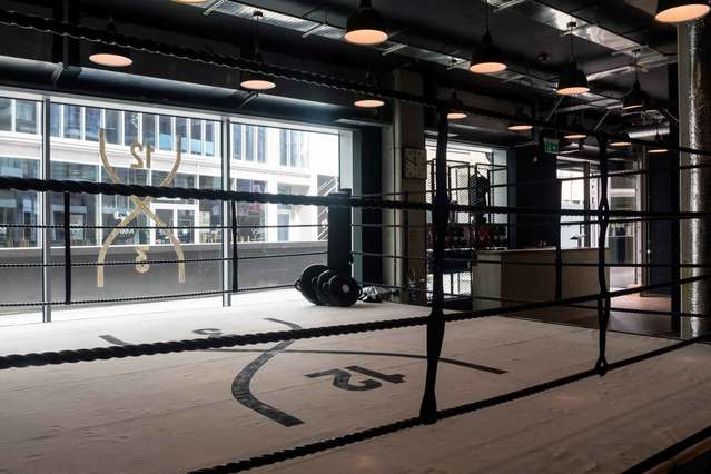 Image 3 from 12x3 Boxing partner gallery