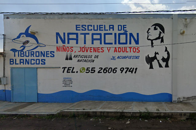 Imagen 2 de la galería del partner Tiburones Blancos Ixtapaluca