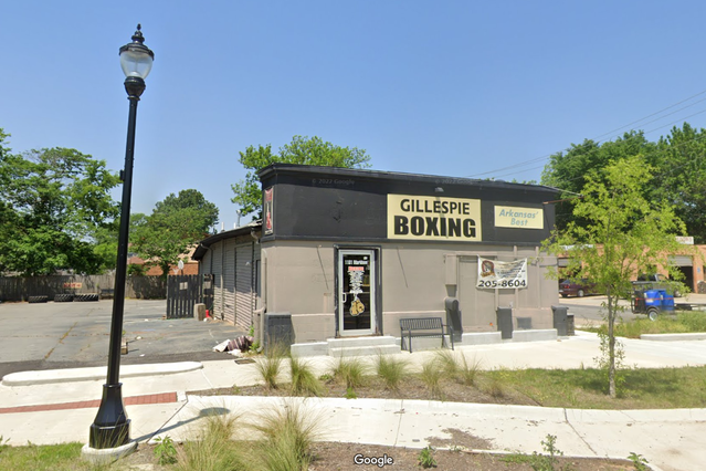 Image 2 from Gillespie Boxing partner gallery
