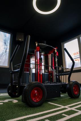 Bild 3 von World Gym Cologne Partnergalerie