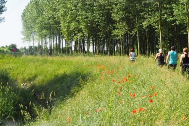 Immagine 2 dalla galleria del partner Nordic Walking Mestre
