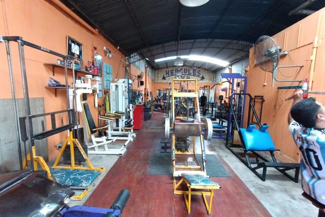 Imagen 2 de la galería del partner Hercules GYM VGG T020