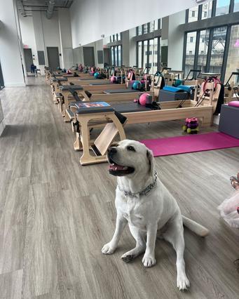 Image 3 from Miami Pilates Company partner gallery