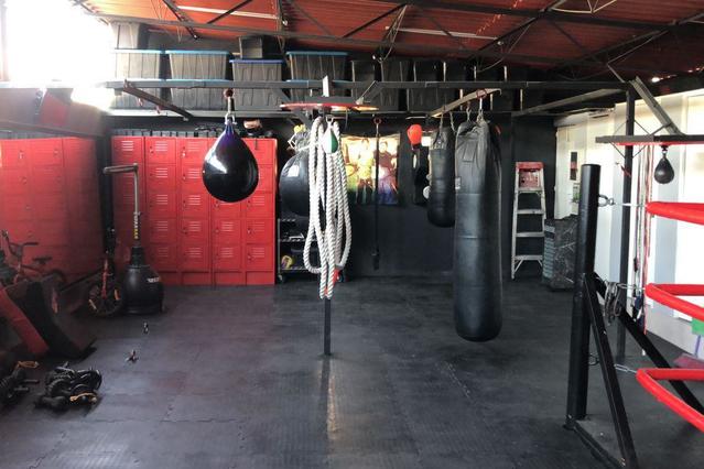 Canguros Boxing Lindavista