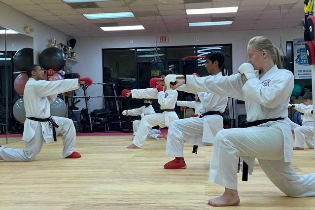 Image 1 from Triangle's Best Karate partner gallery