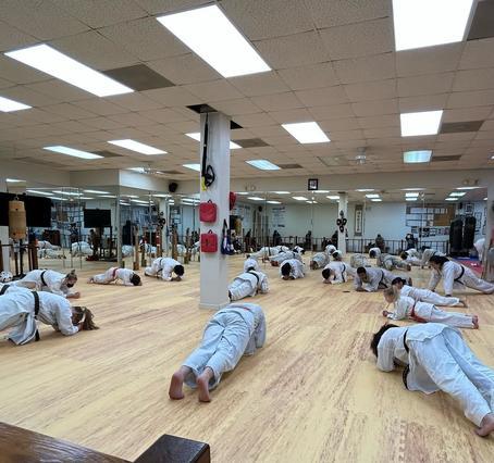 Image 3 from Triangle's Best Karate partner gallery