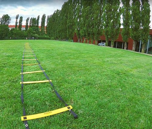 Bild 3 von Triatlon Crew Berlin (HQ) Partnergalerie