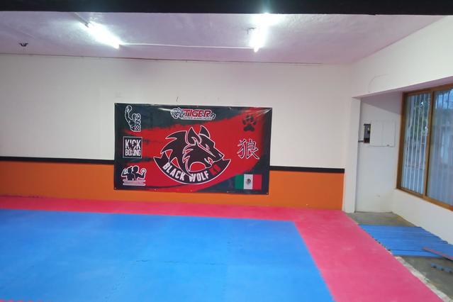 Imagen 2 de la galería del partner MANGETSU KARASU DOJO