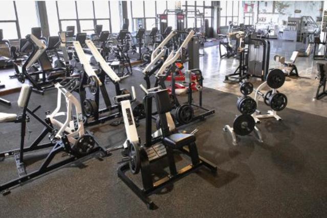 Bild 1 von Shapeshifters Gym Blaue Brücke Partnergalerie