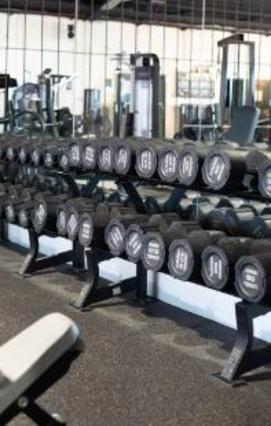 Bild 3 von Shapeshifters Gym Blaue Brücke Partnergalerie