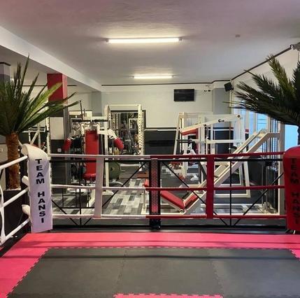 Bild 1 von TH-GYM Frauenboxing Partnergalerie
