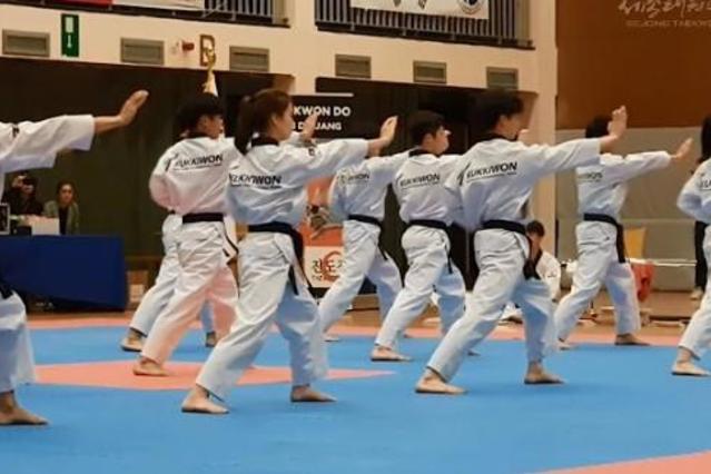 Imagen 3 de la galería del partner Richard Chun Taekwondo México Guanajuato Centro