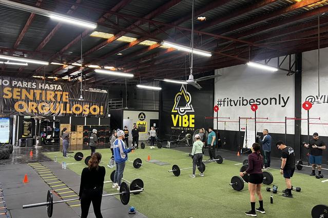 Imagen 1 de la galería del partner vibe