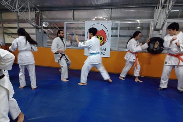 Imagen 2 de la galería del partner Kobayashi karate Do y Kobudo