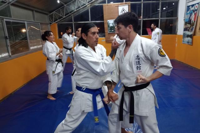 Imagen 3 de la galería del partner Kobayashi karate Do y Kobudo