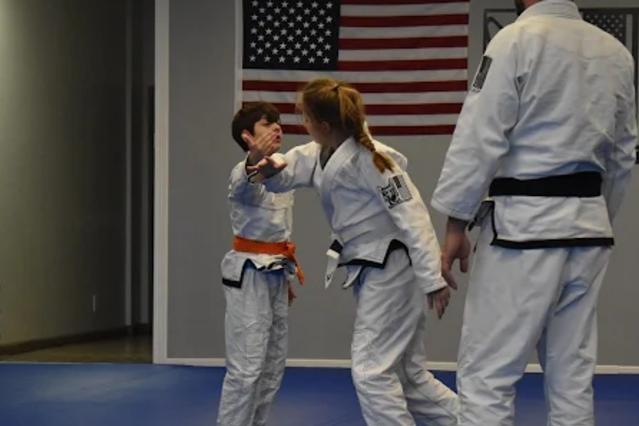 Image 3 from Sheepdog Jiu-Jitsu partner gallery