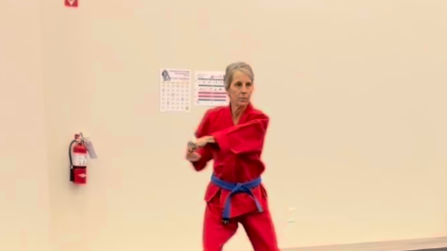 Image 3 from Northern Karate Barrie partner gallery