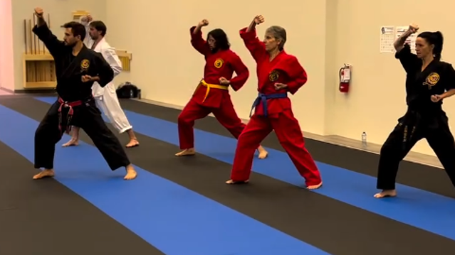 Image 1 from Northern Karate Barrie partner gallery