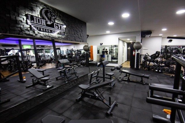 Lion Gym Fitness Center