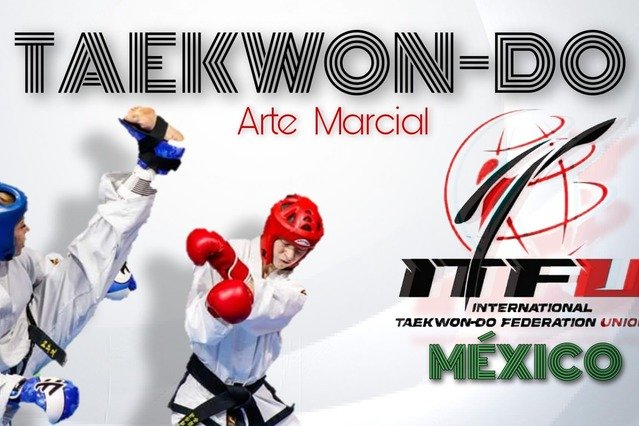 Imagen 1 de la galería del partner Taekwondo ITF